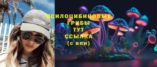 прущий лед Верея