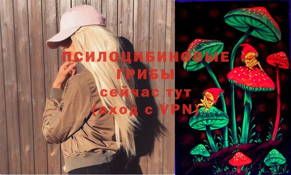 ешки Верхний Тагил