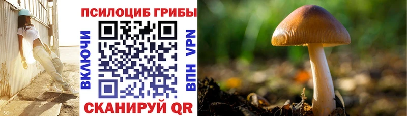 Псилоцибиновые грибы мицелий  Городец 